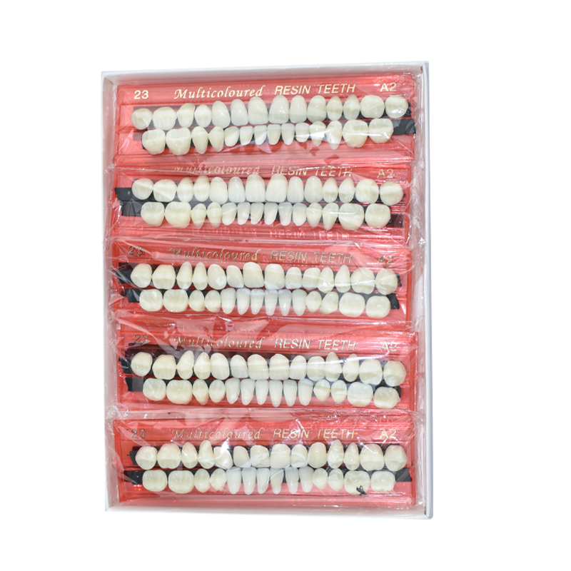 28 Teeth Dental Resin Denture  - Teeth Whitening Shade Guide recensie en prijs