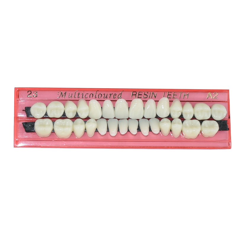 28 Teeth Dental Resin Denture  - Teeth Whitening Shade Guide recensie en prijs